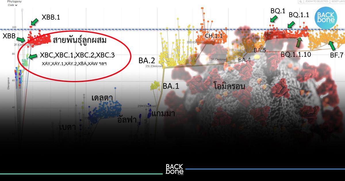 ศูนย์จีโนมฯ เจาะลึก “เดลตาครอน” เข้าไทย ระบาดเร็วแค่ไหน ?