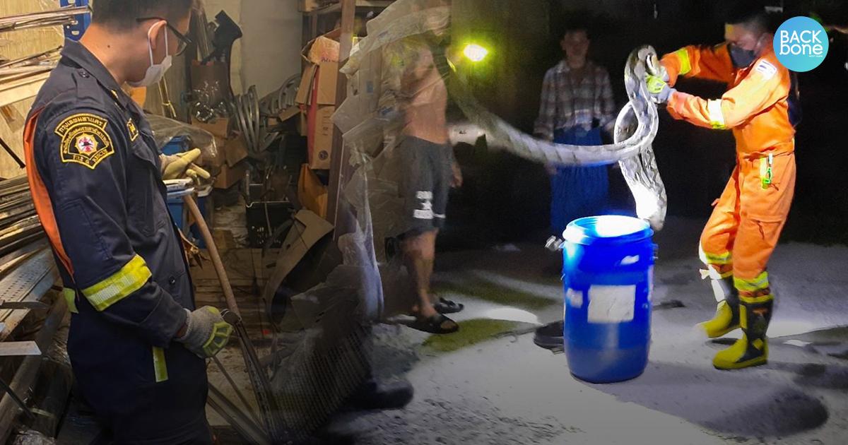 “กรุงเทพฯ ปลอดภัยดี” สัตว์ร้าย มีพิษ นักดับเพลิงและกู้ภัยช่วยดูแล