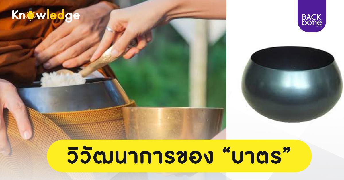 วิวัฒนาการของ บาตร 