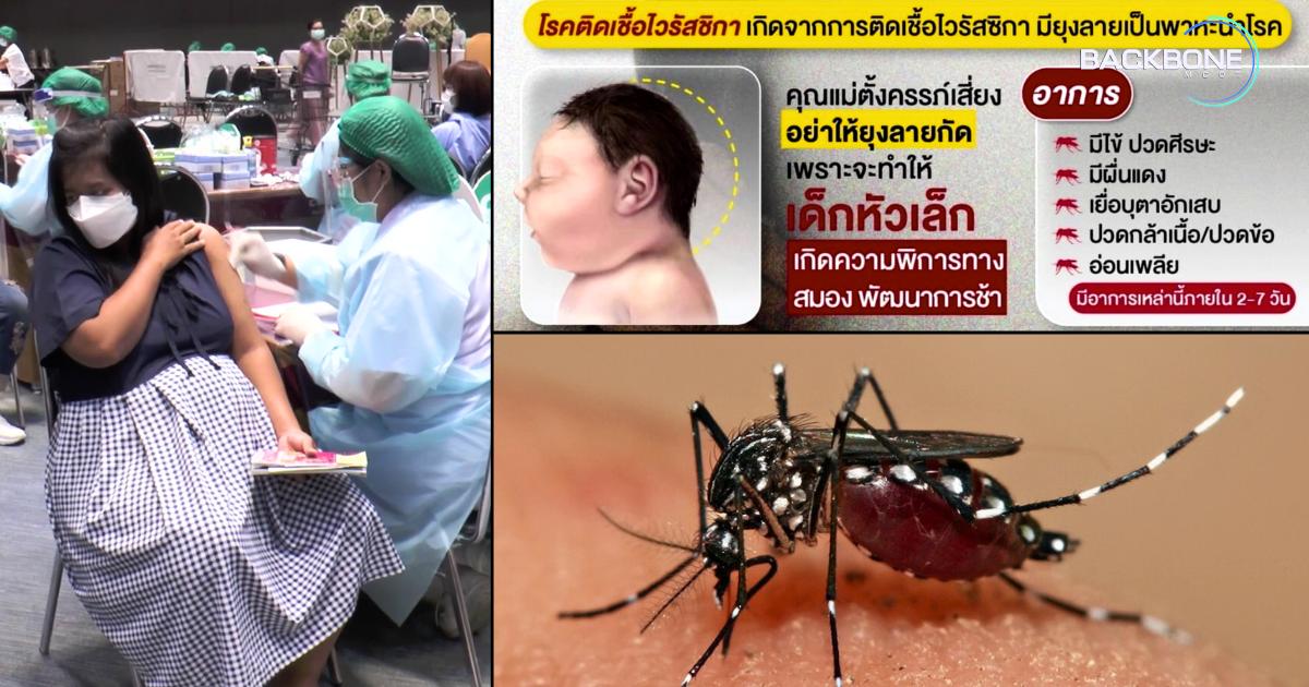 โรคไข้ซิกา ภัยร้ายยุงลาย!! หญิงท้องป่วย.. ลูกเสี่ยงศีรษะเล็ก พิการทางสมอง