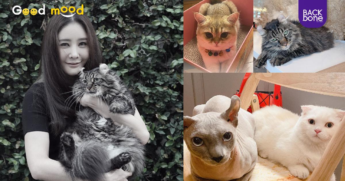 น้องแมวทั้ง 4 ตัวของแตงโม ได้บ้านใหม่แล้ว