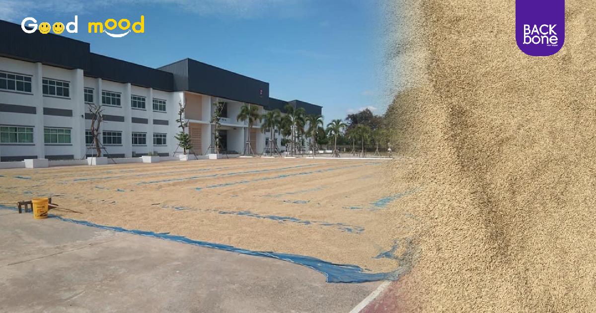 โรงเรียนภาวุธวิทยา ใจดี! เปิดพื้นที่ให้ชาวนาตากข้าวฟรี
