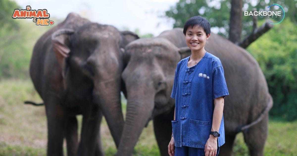 Animal and me ตามรอยเท้าช้าง Elephant Forest ปางช้างที่ขับเคลื่อนด้วยหัวใจ
