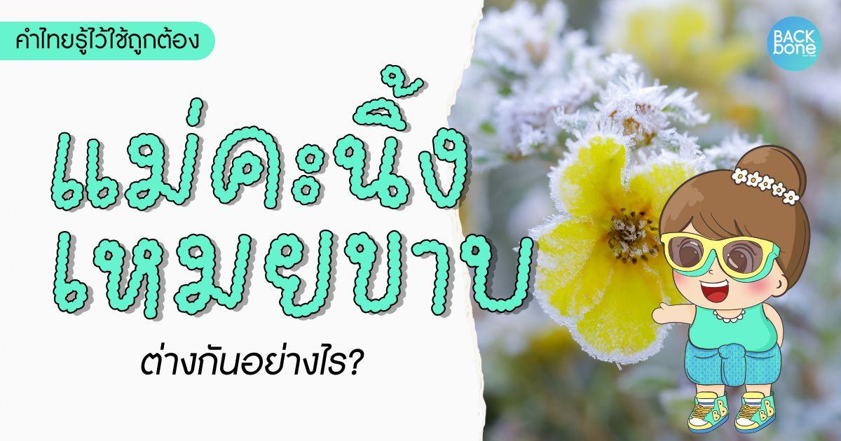 ‘เหมยขาบ’ กับ ‘แม่คะนิ้ง’ ต่างกันอย่างไร? | คำไทยรู้ไว้ใช้ถูกต้อง