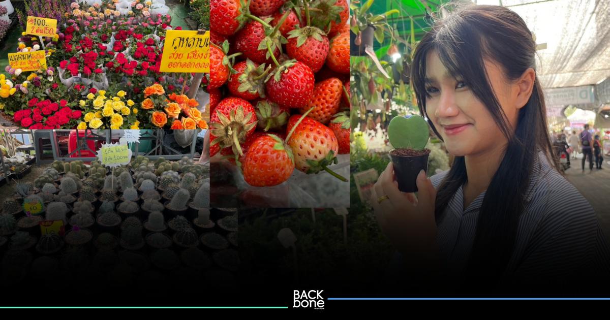 เดินเที่ยว กิน ช้อป ! เปิดแผนที่ทุกโซน งานเกษตรแฟร์ 67 ปีนี้ จัดภายใน ธีม “นวัตกรรมนนทรี แก้วิถีโลกรวน”