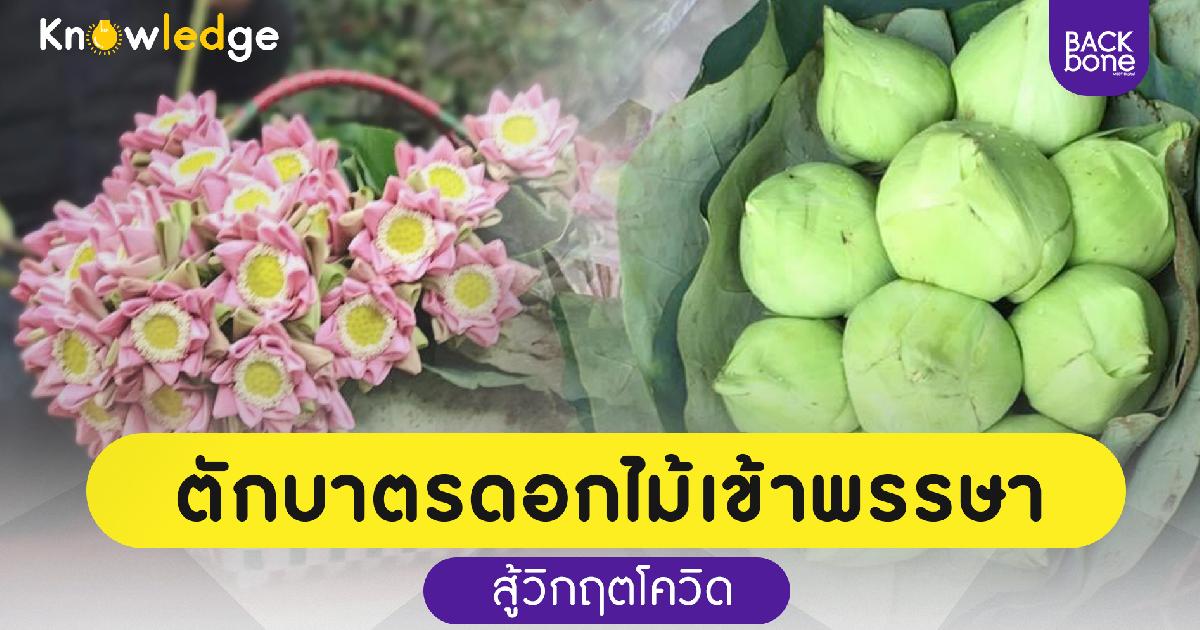 ตักบาตร ดอกเข้าพรรษา มาจากไหน?