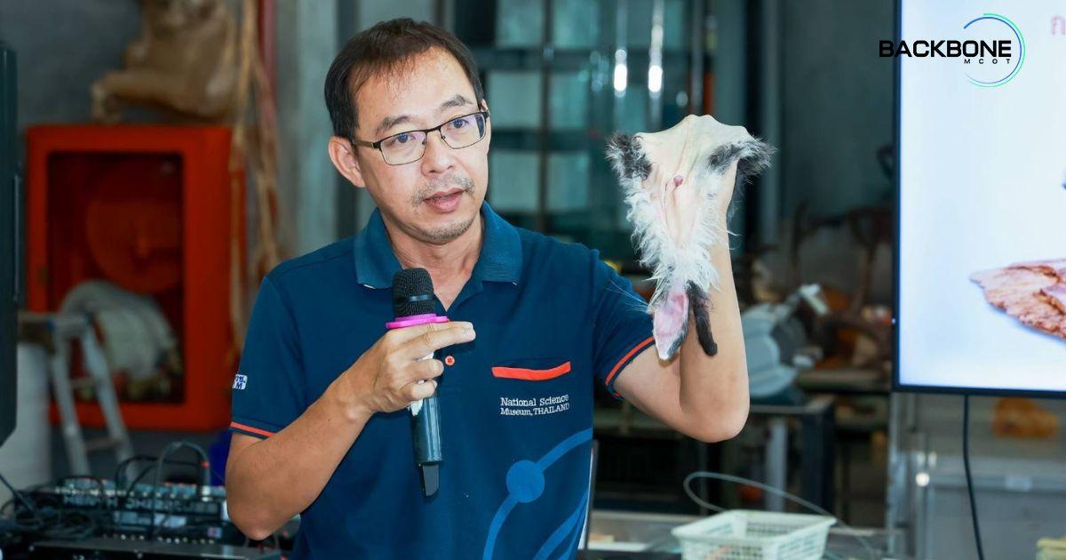 สตัฟฟ์สัตว์อย่างมืออาชีพ NSM เพิ่มทักษะ NSM เพิ่มทักษะ สู่การเรียนรู้ธรรมชาติวิทยา