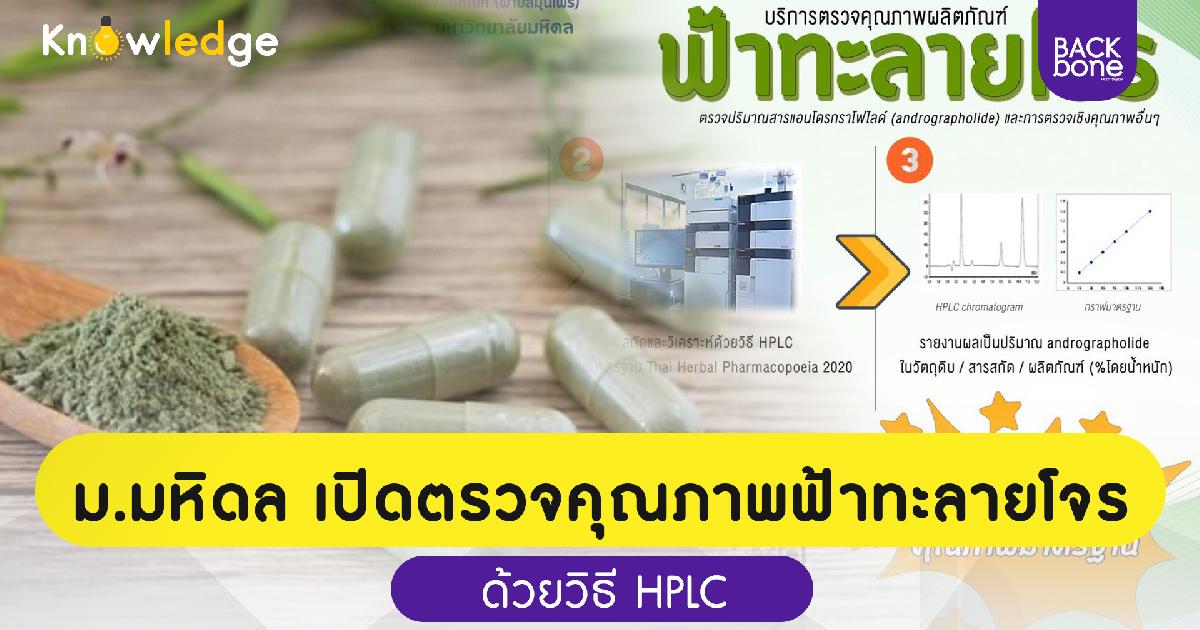 ม.มหิดลเปิดตรวจคุณภาพยาฟ้าทะลายโจร