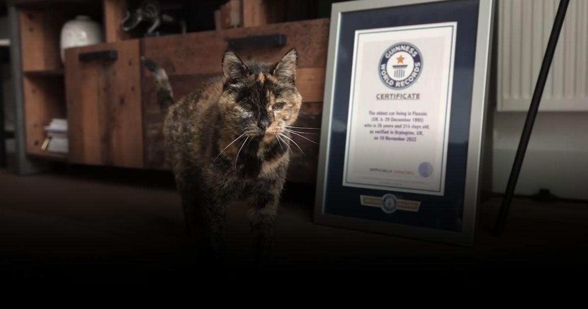 Flossie เจ้าของสถิติใหม่ “แมวอายุมากที่สุดในโลกที่ยังมีชีวิตอยู่”