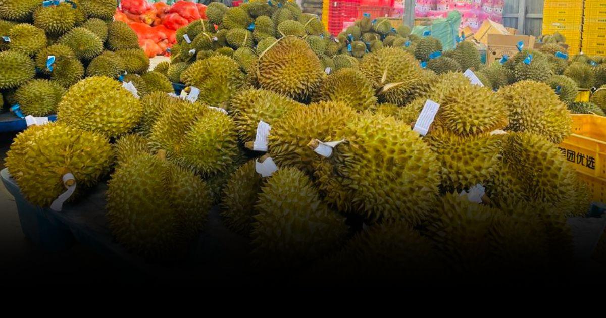 ยอดขาย ‘ทุเรียนไทย’ ในยูนนาน แตะ 7-8 หมื่นลูกต่อวัน
