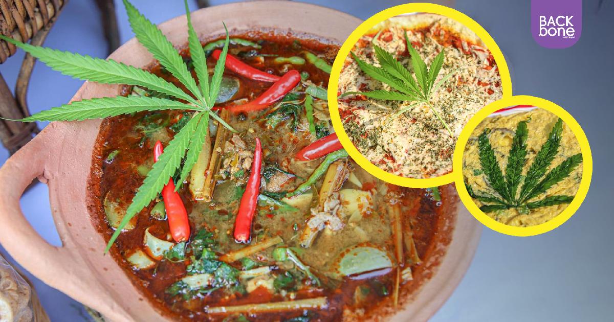 ม.แม่โจ้ จัดงาน ชวนยิ้ม ชิมกัญ(ชา)