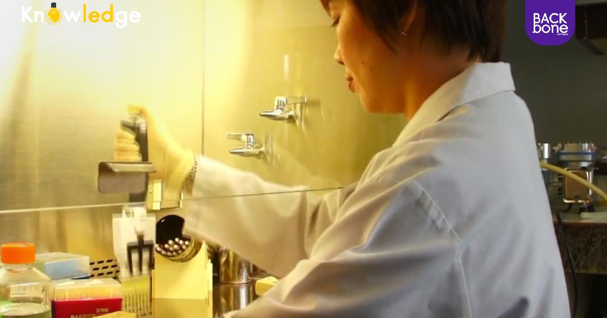 นักวิทย์ฯไทย ทำได้ นวัตกรรมภูมิคุ้มกันบำบัด ช่วยผู้ติดเชื้อ HIV  โดยไม่ต้องใช้ยาต้านไวรัส