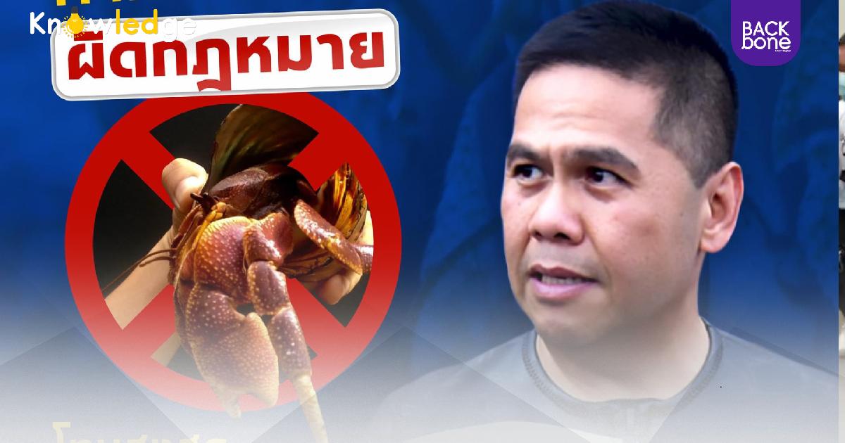 ขอสปอร์นเซอร์ ถอนโฆษณายูทูบเบอร์ จับปูเสฉวนมาเลี้ยง