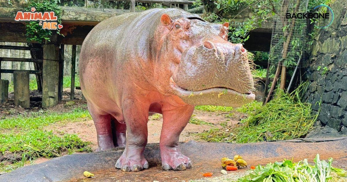 สุขสันต์วันเกิด “แม่มะลิ” อายุครบ 60 ปี