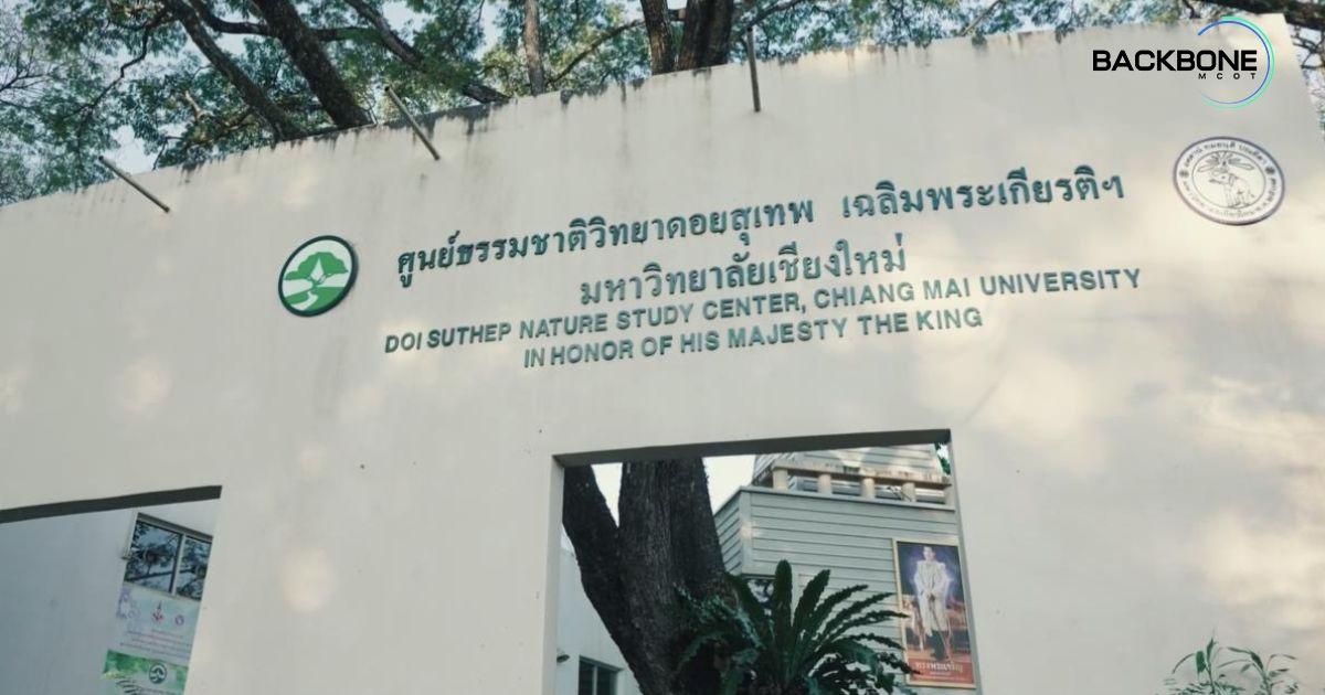 ผู้พิทักษ์ดอยสุเทพ มช. ปลูกเมล็ดพันธุ์แห่งความรักษ์ในธรรมชาติ