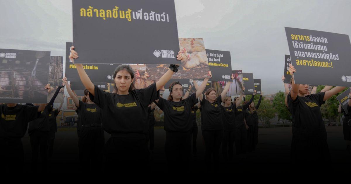 ระดมนักกิจกรรมกว่า 44 ชีวิต ปกป้องสวัสดิภาพสัตว์