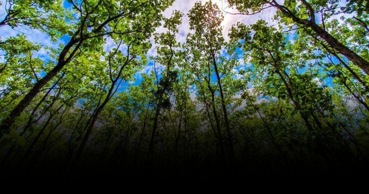 ไทย ร่วมกลุ่ม HAC for Nature and People ปกป้องพื้นที่ทางบกและทางทะเลของโลก