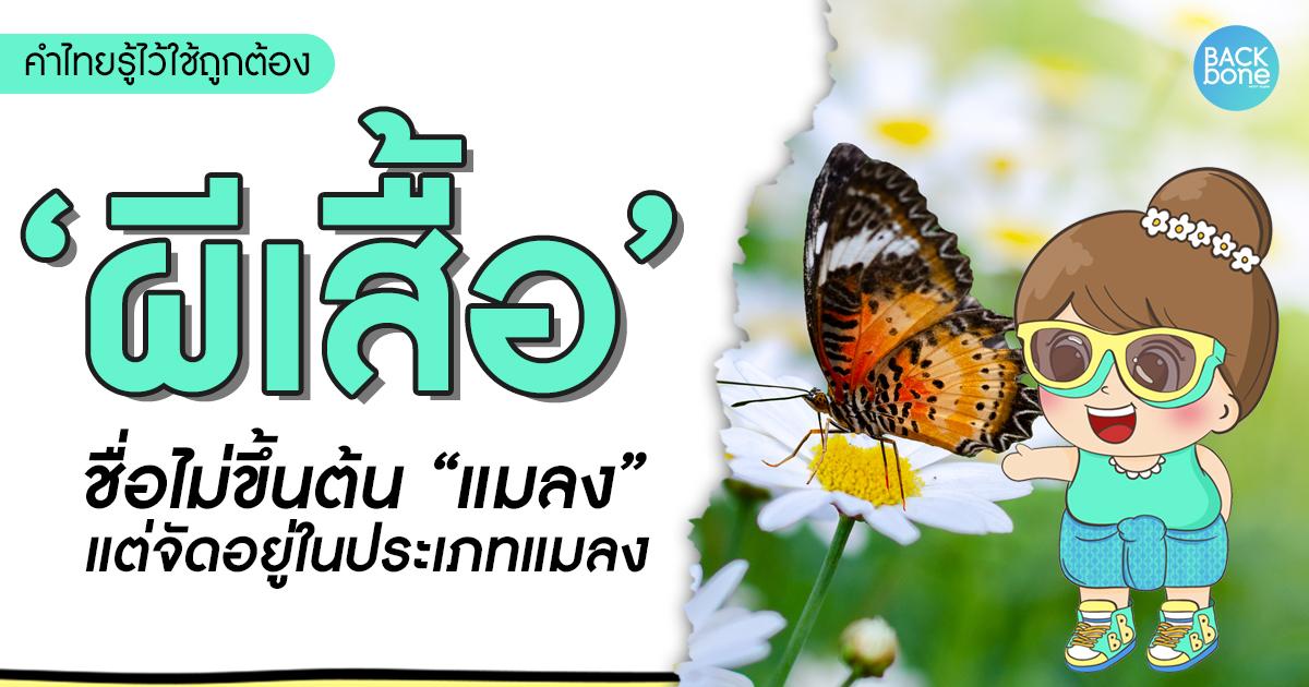 “ผีเสื้อ” ชื่อเรียกไม่มี “แมลง” แต่เป็น “แมลง” นะ | คำไทยรู้ไว้ใช้ถูกต้อง