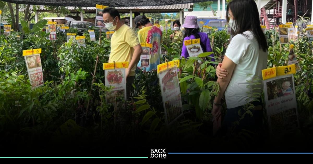 ตลาดเศรษฐกิจพอเพียง “เกษตรปันสุข” ชิม ช้อป เที่ยววันหยุดสุดสัปดาห์