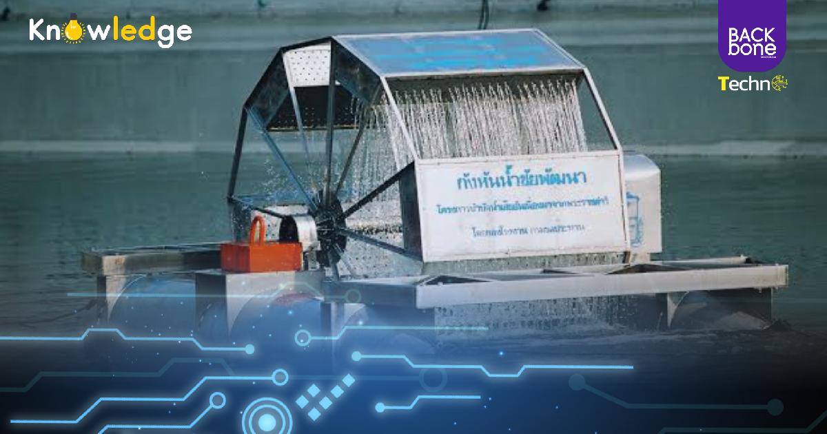 29ปี กังหันน้ำชัยพัฒนา สิ่งประดิษฐ์คืนชีวิตสายน้ำ