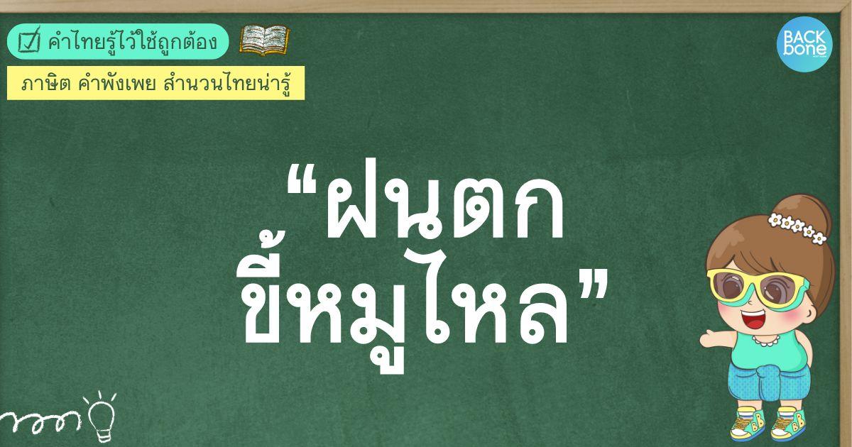 “ฝนตกขี้หมูไหล” แปลว่าอะไร? | คำไทยรู้ไว้ใช้ถูกต้อง