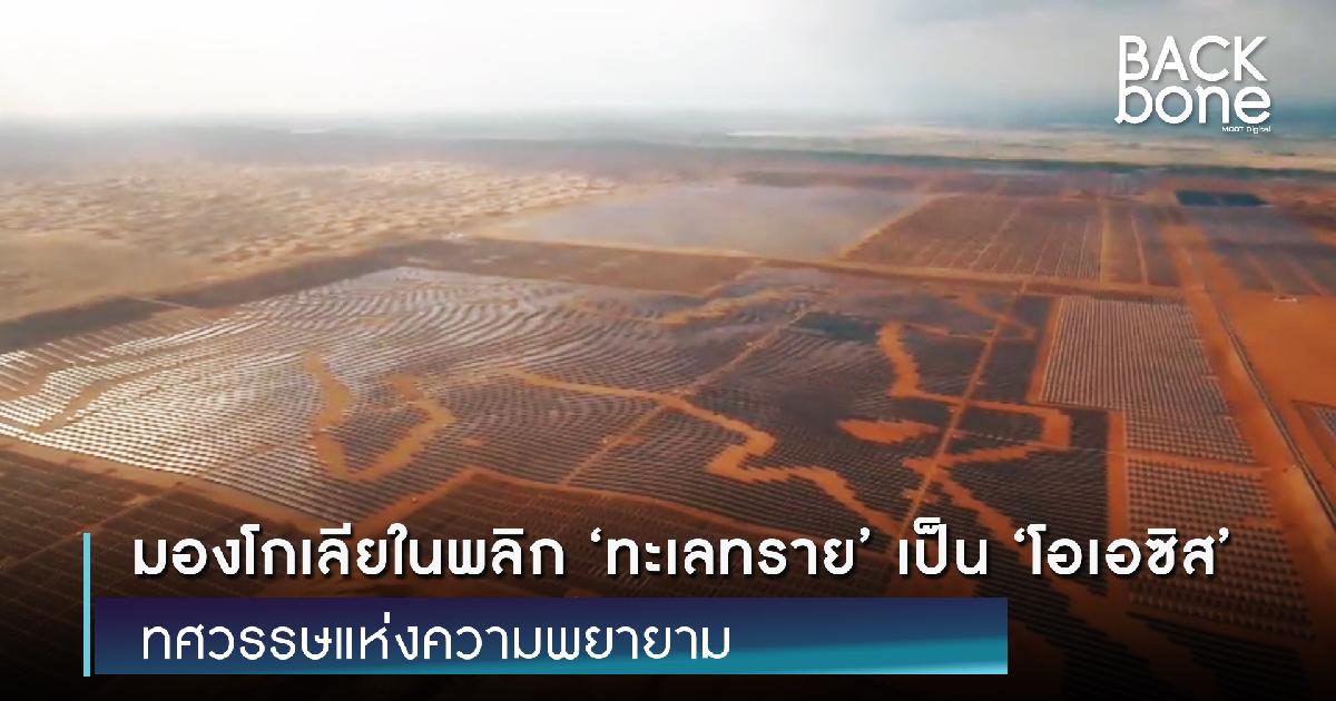 มองโกเลียในพลิก ‘ทะเลทราย’ เป็น ‘โอเอซิส’ ทศวรรษแห่งความพยายาม