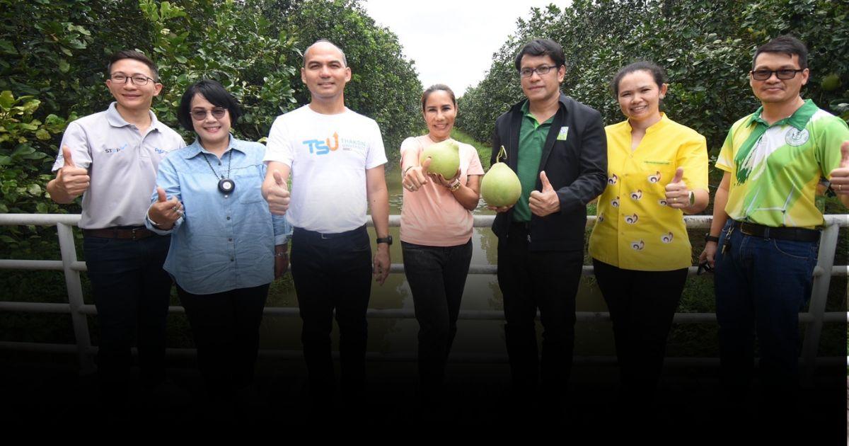 วิจัยช่วย “สวนส้มโอ” ยกมาตรฐาน ผลไม้ GI ซูปเปอร์ Lycopene ของดีปากพนัง
