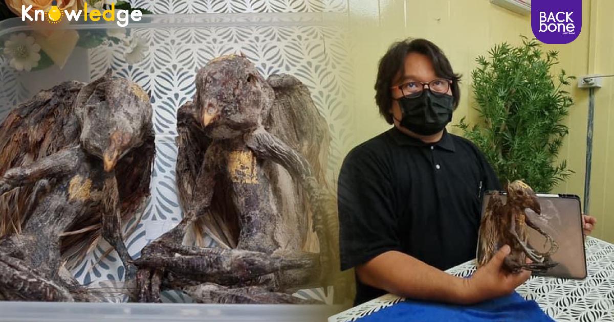 พิสูจน์แล้ว “นกครุฑ” มาจากชิ้นส่วนสัตว์ต่อติดกาว