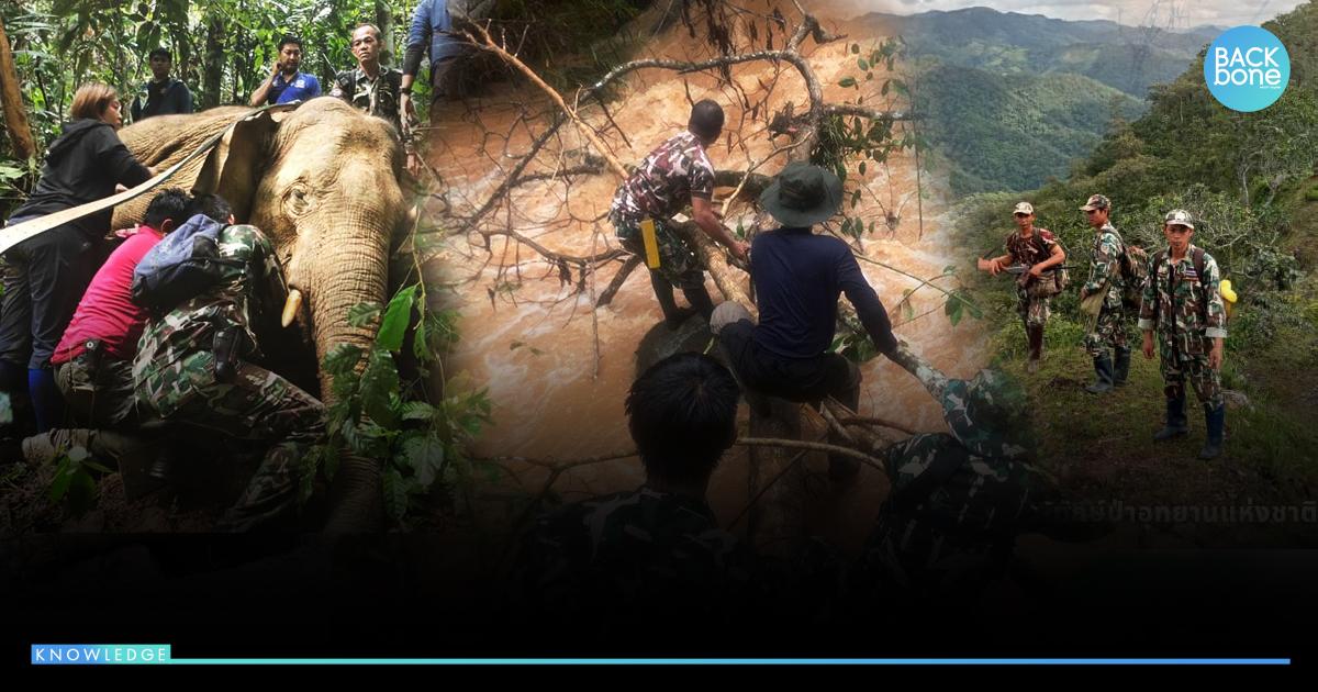 วราวุธ ชวนส่งกำลังใจ วีรบุรุษผืนป่าไทย ในวันเจ้าหน้าที่พิทักษ์ป่าโลก 31 ก.ค.