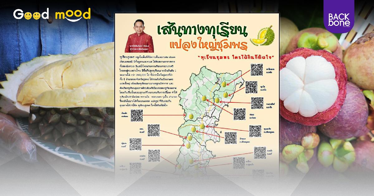 ชุมพร คึกคัก ผู้ว่าฯ รวมสวนทุเรียนทั้งจังหวัด แปลงใหญ่ในภาพเดียว