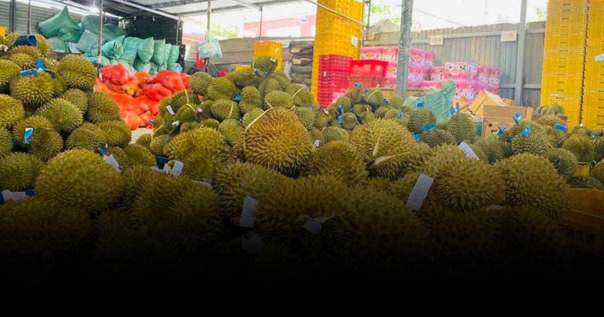 ยอดขาย ‘ทุเรียนไทย’ แตะ 7-8 หมื่นลูกต่อวัน ในยูนนาน