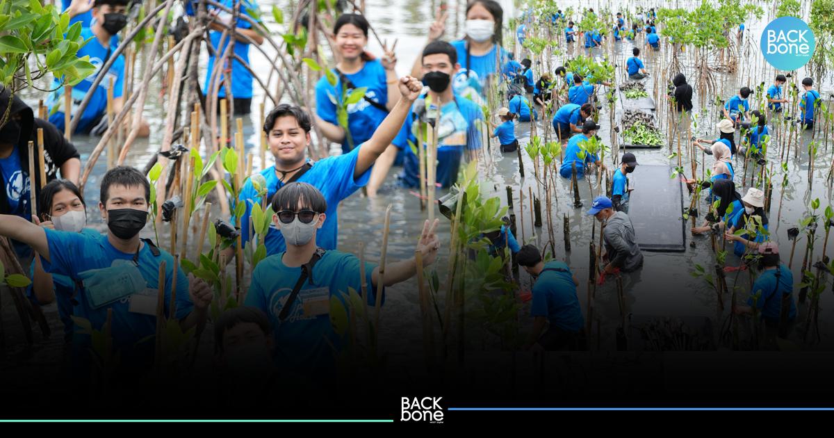 ชวนเยาวชนเก่ง ร่วมกิจกรรมจิตอาสา ซ่อมแซมป่าชายเลนปีนี้ 5,000 ต้น