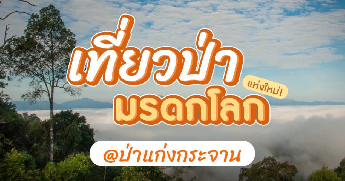 พร้อมมาเที่ยวพะเนินทุ่งรึยัง..เพราะพะเนินทุ่งพร้อมแล้วนะ