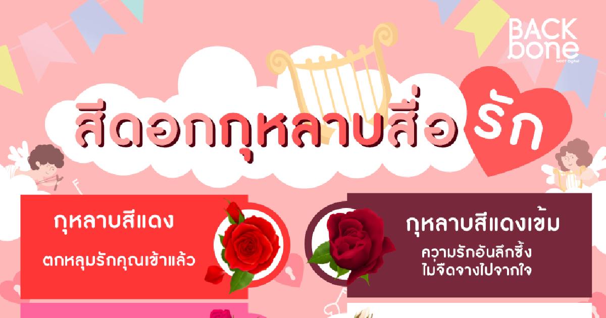 สีดอกกุหลาบสื่อความหมาย