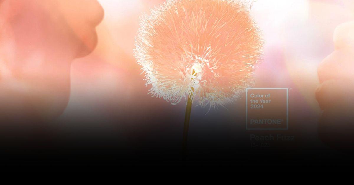 สี Peach Fuzz ขึ้นแท่นสีแห่งปี 2024