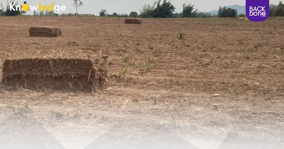 ลดโลกร้อนทุกคนช่วยได้ “COP 26 สู่วิถีชาวบ้าน”