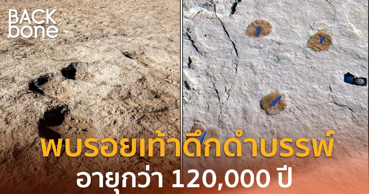 พบรอยเท้ามนุษย์และฝูงอูฐ-ช้างดึกดําบรรพ์อายุกว่า 120,000 ปีในซาอุดีอาระเบีย