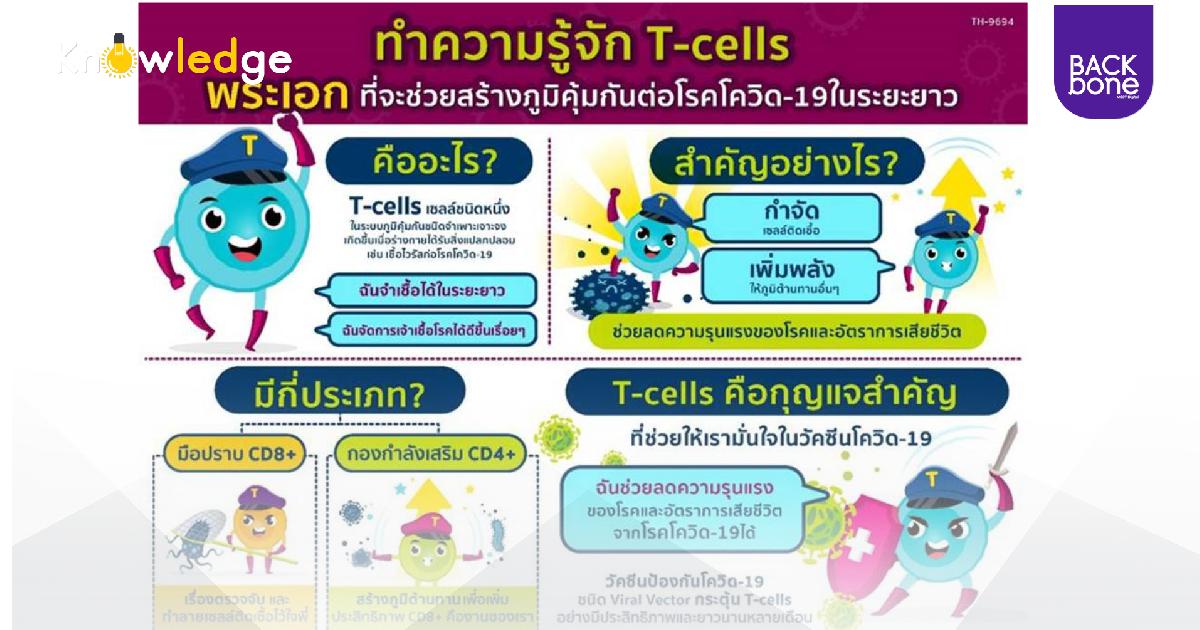 ทำความรู้จัก T-cells พระเอกสร้างภูมิคุ้มกันโควิด-19