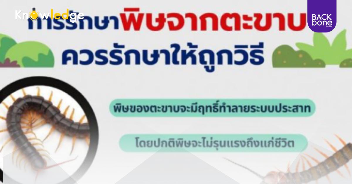 แพทย์ผิวหนัง แนะนำการรักษา “พิษจากตะขาบ” ควรรักษาให้ถูกวิธี