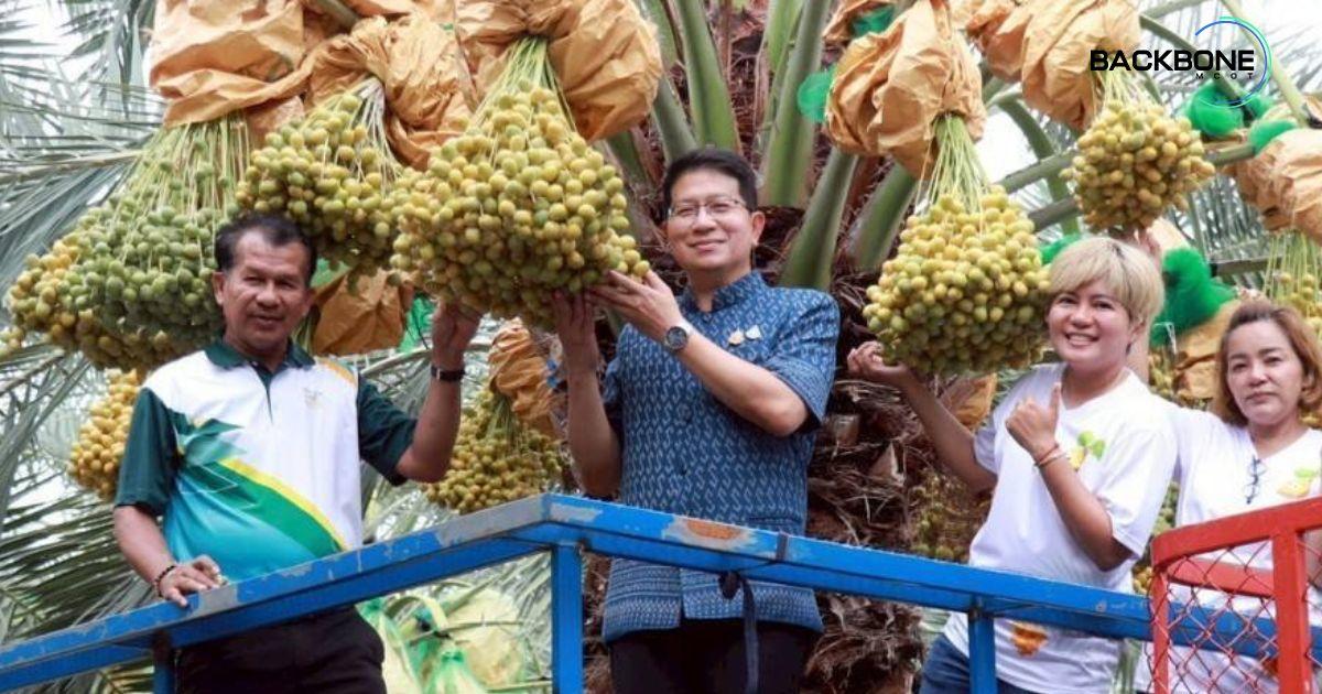 ครั้งแรกที่บ่อพลอย เทศกาลอินทผลัม ชวนมาเที่ยว 30 สวนคุณภาพ