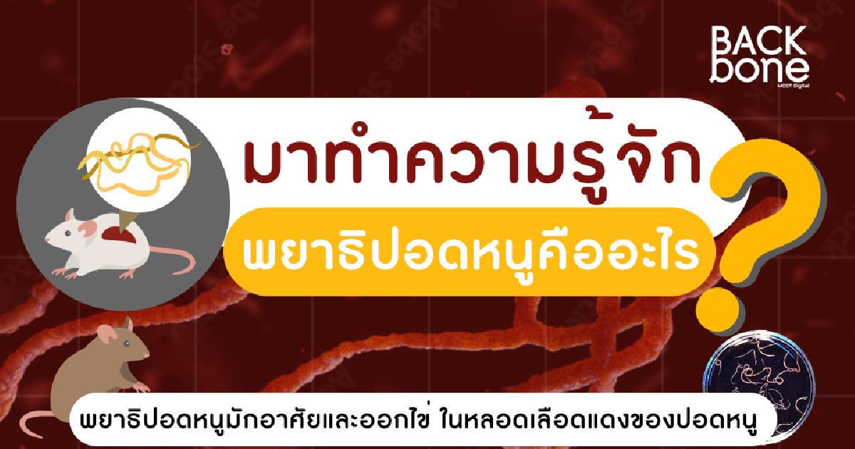 มาทำความรู้จักพยาธิปอดหมูกันเถอะ!