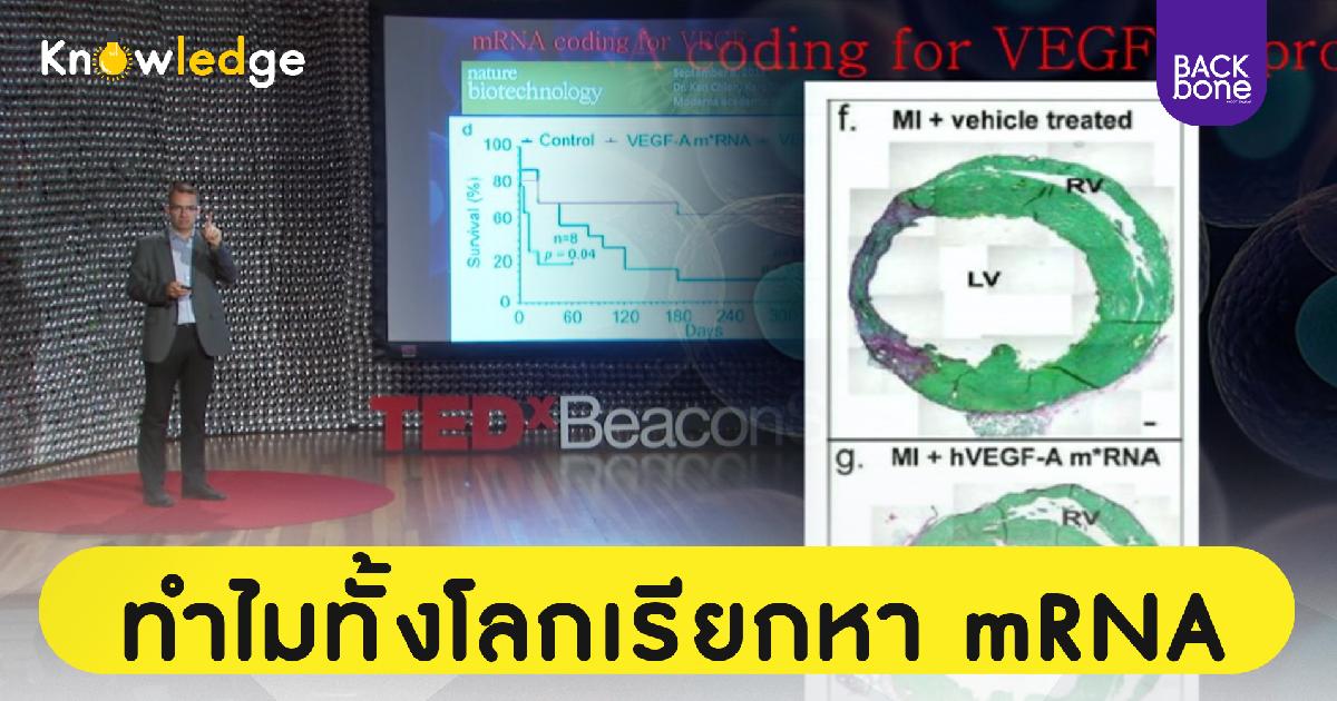 ทำไมทั้งโลกเรียกหา mRNA