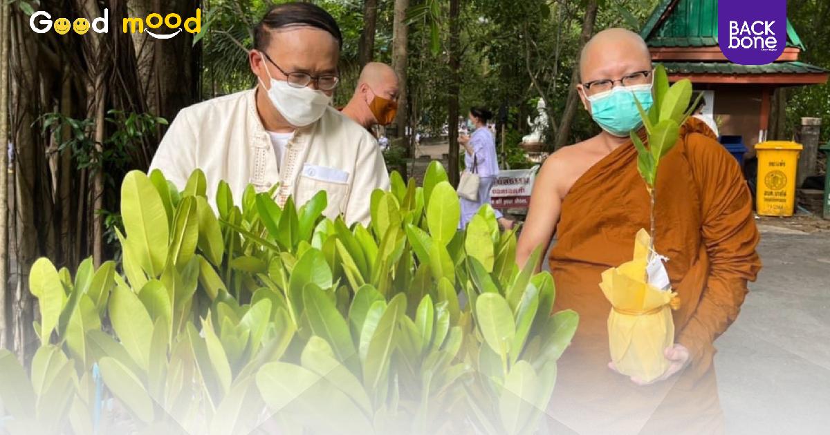 ชวนกันเวียนเทียน ยุคใหม่ด้วยต้นไม้ ได้สืบสานพุทธศาสนา และคืนความร่มรื่นให้ธรรมชาติ
