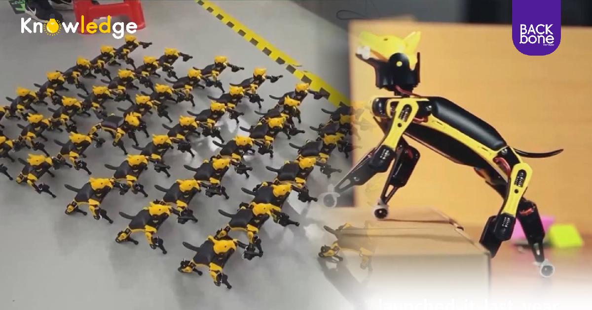 สตาร์ตอัพจีนสร้าง ‘หุ่นยนต์สัตว์เลี้ยง’ ขนาดฝ่ามือ
