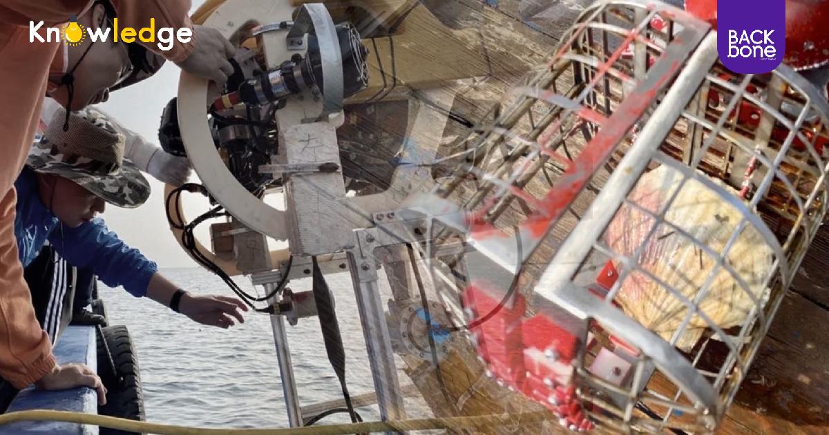 จีนพัฒนาหุ่นยนต์ค้นหา-จับสัตว์ใต้ทะเลอัตโนมัติ