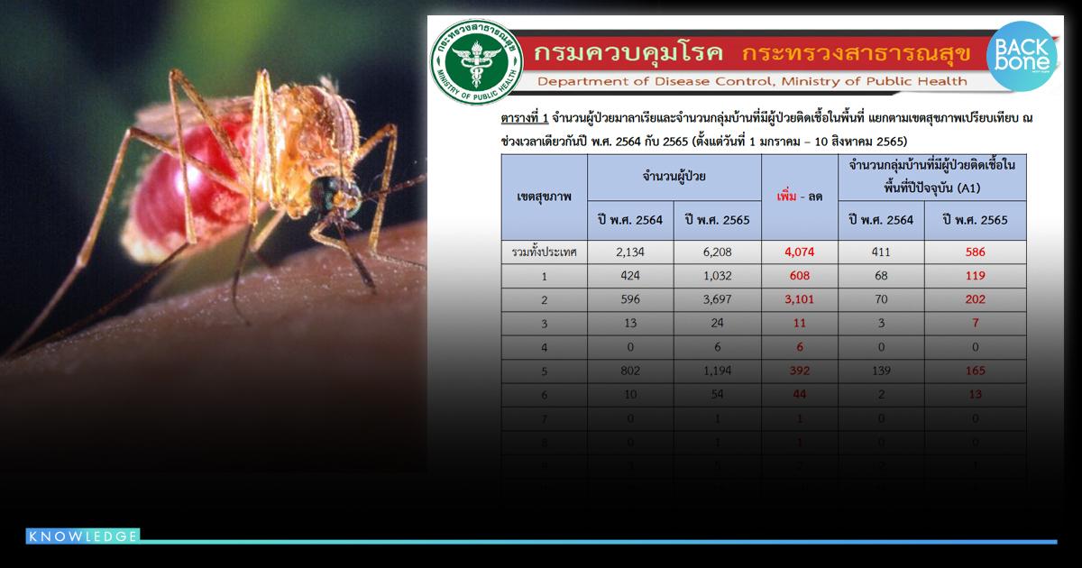 เตือน..ยังไม่จบหน้าฝน มาลาเรีย ระบาดแล้ว 6,208 ราย พบเชื้อขึ้นสมอง 197 ราย
