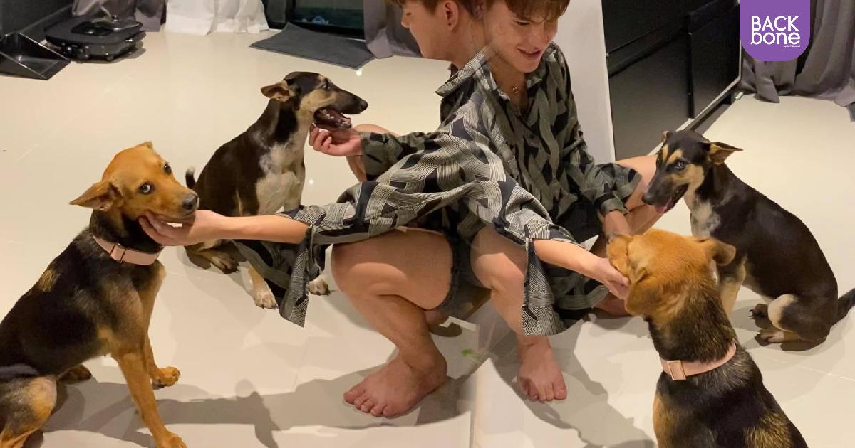 “น้องหมูทะ” หมาเซเลบ ได้เพื่อนใหม่มาอยู่ด้วยแล้ว