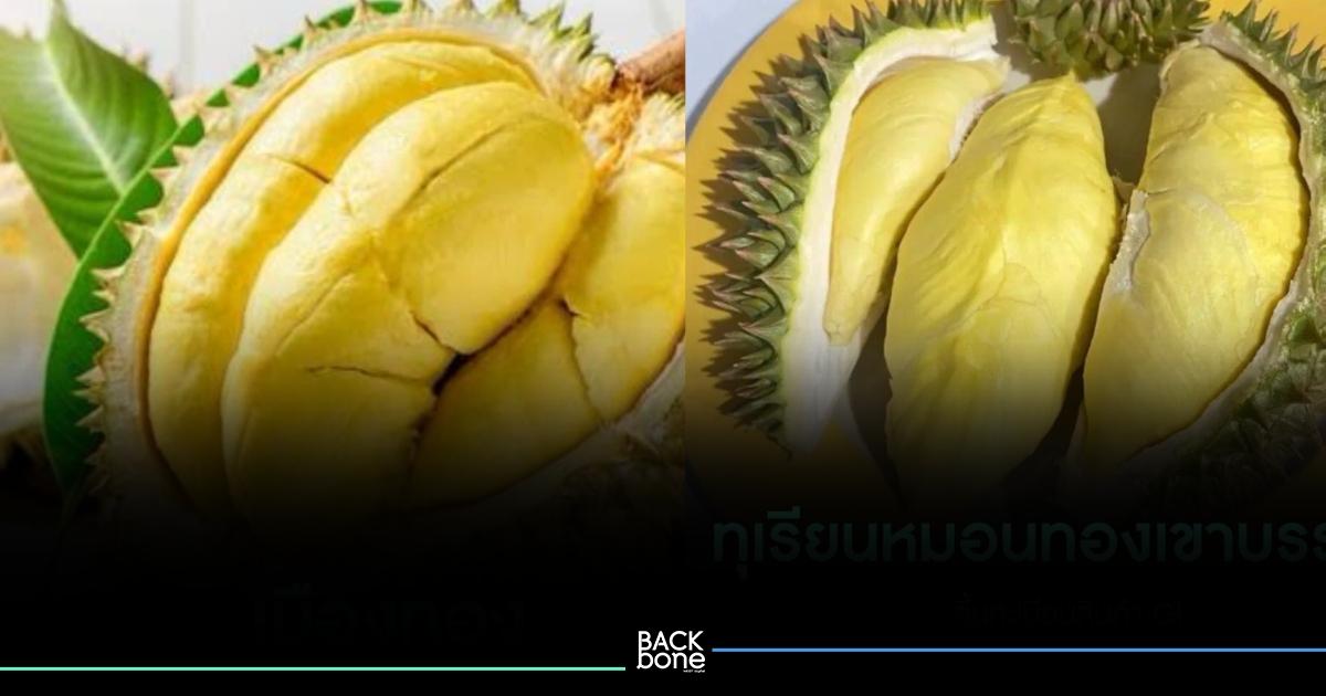 แพทย์จีนเผย “ทุเรียน” กินอย่างไรไม่เป็นอันตรายต่อสุขภาพ