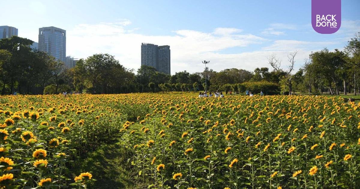 เชิญชวนทุกภาคส่วนร่วมขับเคลื่อนโครงการ Green Bangkok 2030