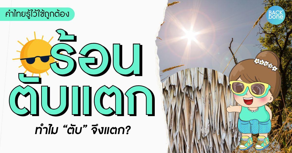 ร้อนตับแตก ทำไม “ตับ” แตก | คำไทยรู้ไว้ใช้ถูกต้อง